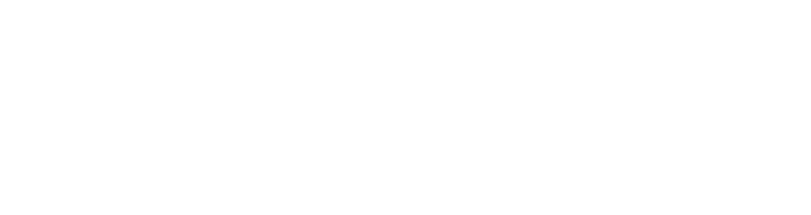 ICOTYPE_LOGO_BLANC
